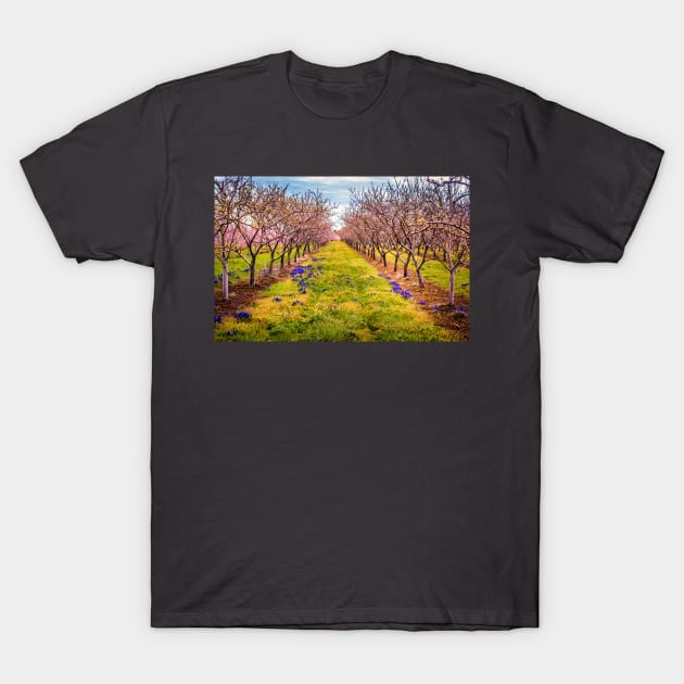 Peach Orchard Blossoms T-Shirt by Robert Alsop